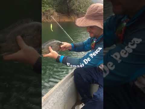 Pesca de mojarra en la represa de Playas, San Rafael, Antioquia | Umbee Fishing Colombia