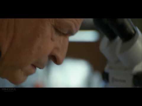 Fringe. Preview 2.08: August