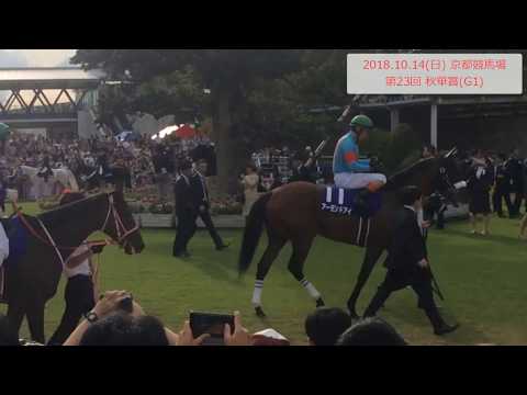 アーモンドアイ 秋華賞パドック【現地映像 2018.10.14】
