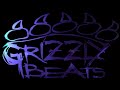 3 Years Grizzly Beats 