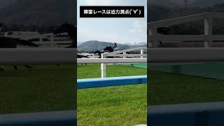 障害レースは迫力満点(ﾟ∀ﾟ)#shorts