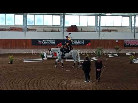 CVN Volteggio 2024 - pdd D over 13 - 2° Ippogrifo