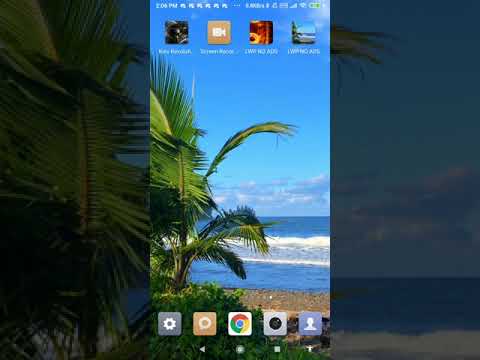 tropical beach live wallpaper video