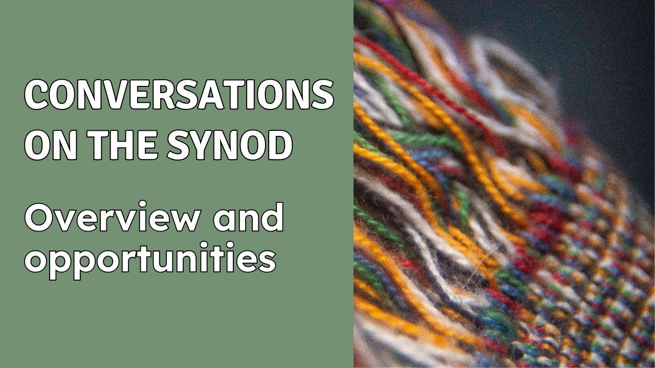 Conversations on the Synod: Overview and opportunities