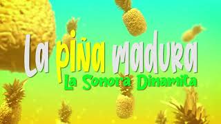 La Piña Madura Lyrics English Translation