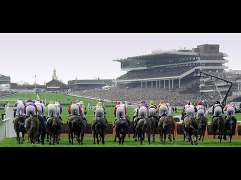 Paddy Power Gold Cup 2014 Preview