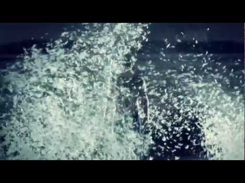 Benjamin Forgiven (Codex 21) - Lass mich falln (Official Video)