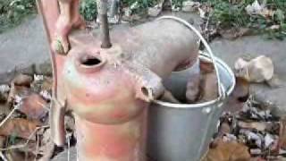 Grandma and Grandpa's Backyard--An Audio-Visual Poem