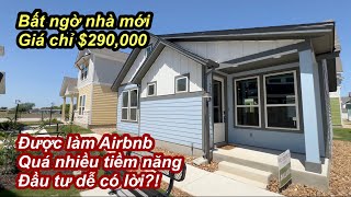 Bất ngờ nhà mới giá chỉ có $290,000 | làm được Airbnb có nhiều tiềm năng | đầu tư có lời dễ dàng?
