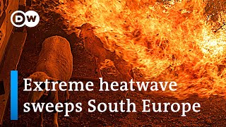 Wildfires in Southern Europe : A climate threat? | DW News