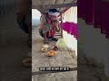 Shorts Comedy