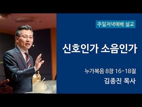 신호인가 소음인가 사진