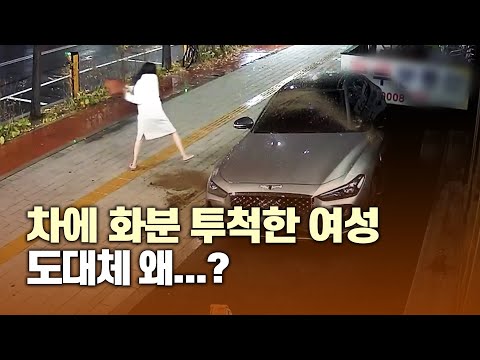 아이콘