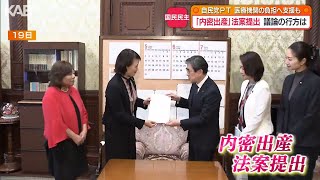 議論の行方は？内密出産に関する法案を国民民主党が提出　自民党PTは論点整理