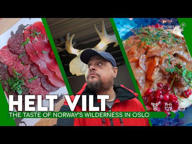 Travel vlog - Helt Vilt :: A Taste of Norway's Wilderness in Oslo