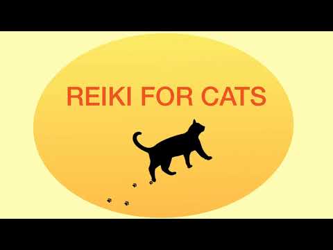Reiki Healing Session For Cats