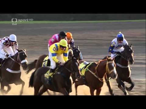 125. Velká pardubická (11.10.2015) 1080p