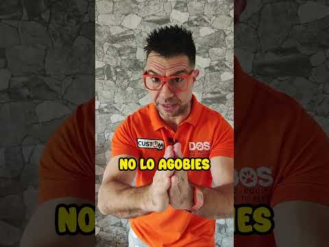 📢 DON'T DO THIS TO YOUR DOG ⚠️ | Dog Training 🐶