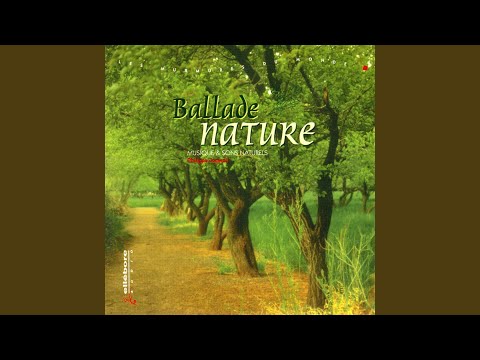 François Verger - Garde Le Feu De Lespoir - Misc Originals
