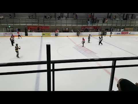 EHC Burgdorf vs. EHC Thun