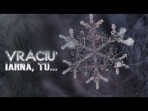 Vraciu' - Iarnă, tu... (Audio)