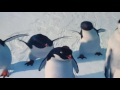 Hsppy Feet