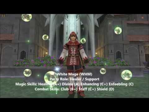 Final Fantasy XI: White Mage Guide