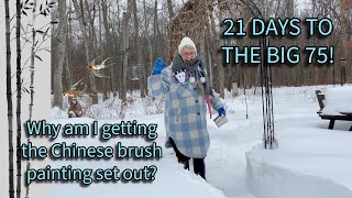 21 DAYS TO THE BIG 75! Snow Day! Today's Crystal! Happy Mail! Teapot Journal  Page!