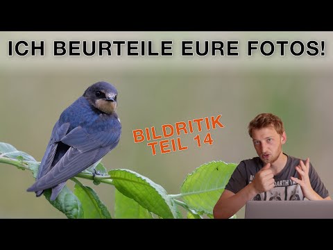 Ich beurteile EURE Fotos - Bildkritik Teil 14