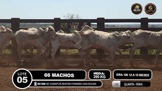Vídeo LOTE 05