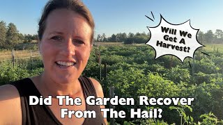 End Of Summer Garden Tour