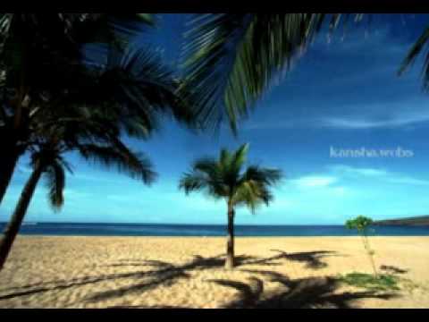 Ilamai Enum Poongaatru - Ilayaraja Instrumental