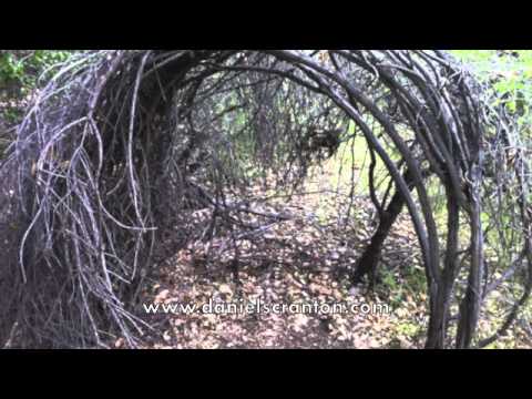 Use Your Discernment