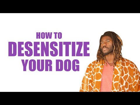 HOW TO DESENSITIZE YOUR DOG