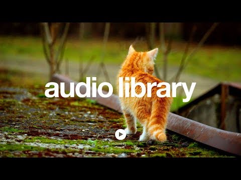 Scheming Weasel (faster version) – Kevin MacLeod (No Copyright Music)