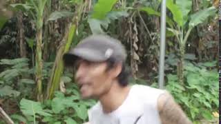 Download lagu Story WA Lucu - Marko: 'Cueeeh deh' mp3 Download lagu Story WA Lucu - Marko: 'Cueeeh deh' mp3