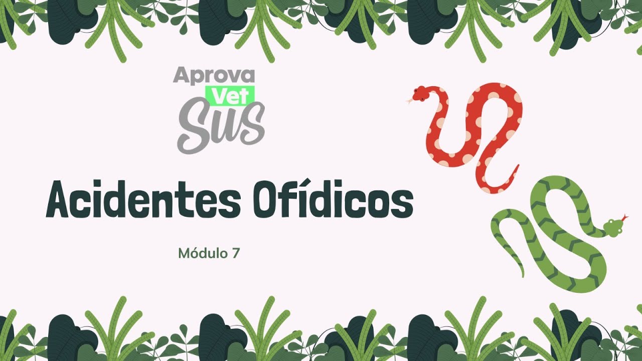 Acidentes Ofídicos
