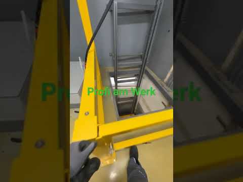 Profi am Werk 🛠️