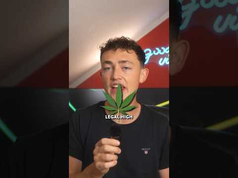 Legal HIGH werden 🪴 | Selbstexperiment #marcoxart