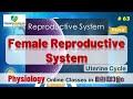 Ep.63 | Female Reproductive System | Uterine Cycle | Malayalam