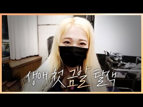 아이콘