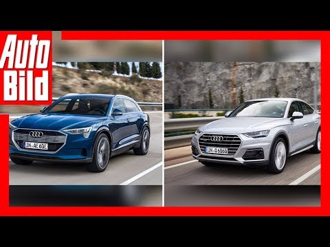 Zukunftsaussicht: Audi e-tron vs Audi Q6 (2018) Vorschau/Details