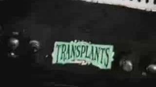 Transplants - Tall Cans In The Air