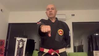 Seiken Uchi