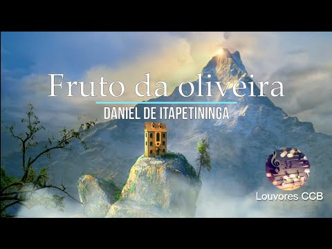 Hinos Avulsos CCB - Daniel de Itapetininga - Fruto da oliveira
