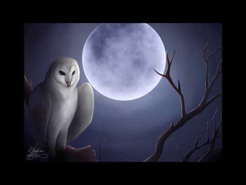 The DSC - Zpověď (official audio)