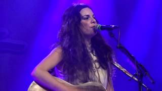 WHITNEY ROSE .  Lookin ' back on Luckenbach .  American journeys