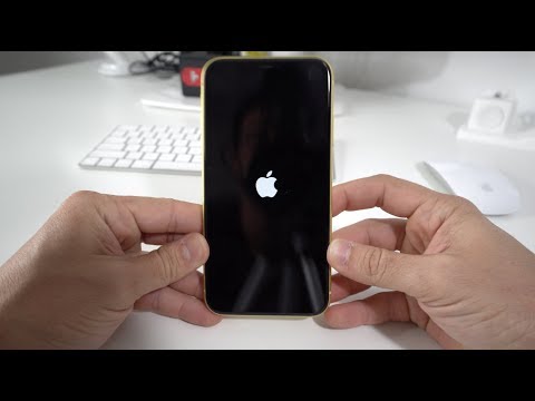 How to Force Turn OFF/Restart iPhone 11 - Frozen Screen ...