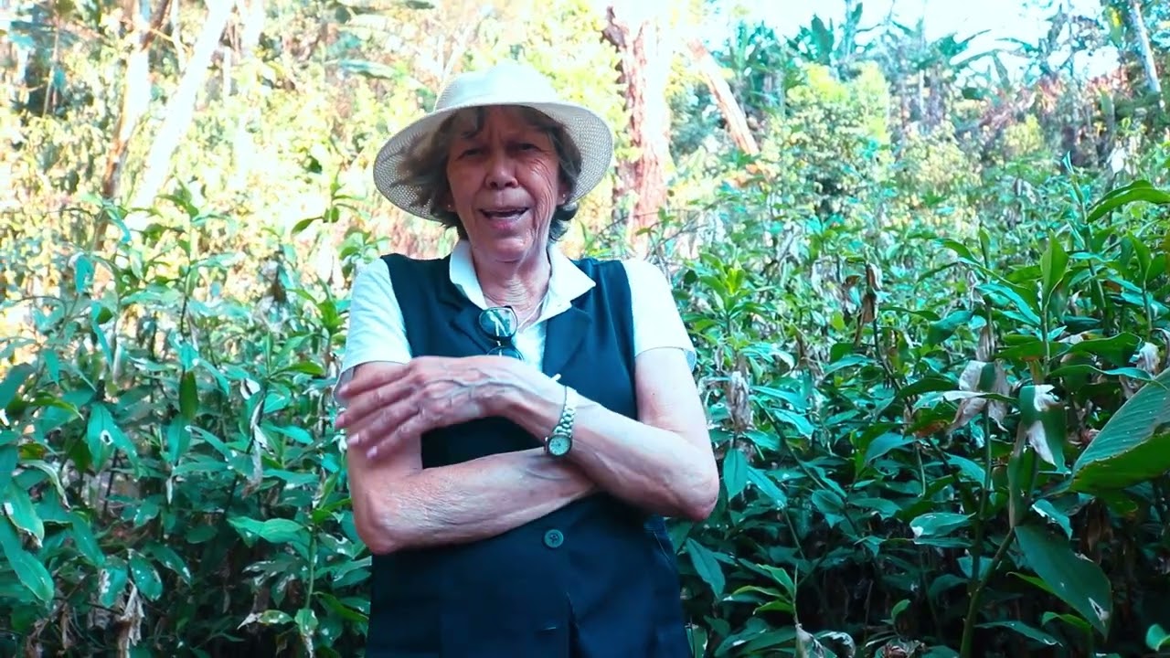 MEDO DE TUDO; DA DOENÇA, DA MORTE, DE DORMIR - USE A FORÇA DA NATUREZA E SAIA DO MEDO