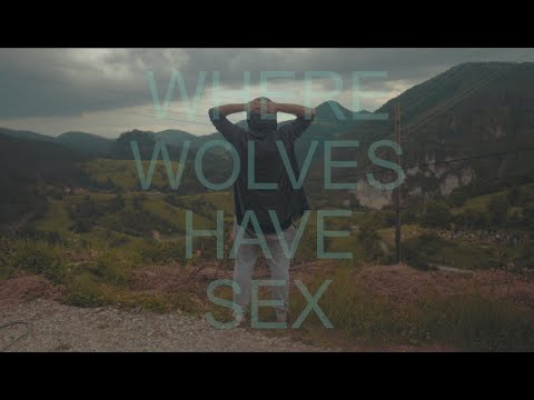 Where Wolves Have Sex online metal music video by DAVID MAXIM MICIC